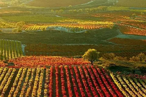 La Rioja